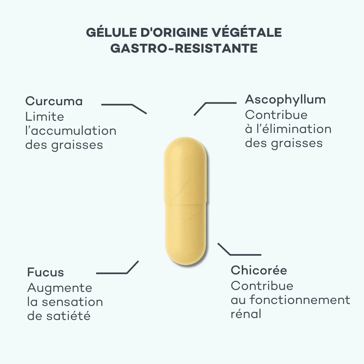Détox Minceur – Image 4