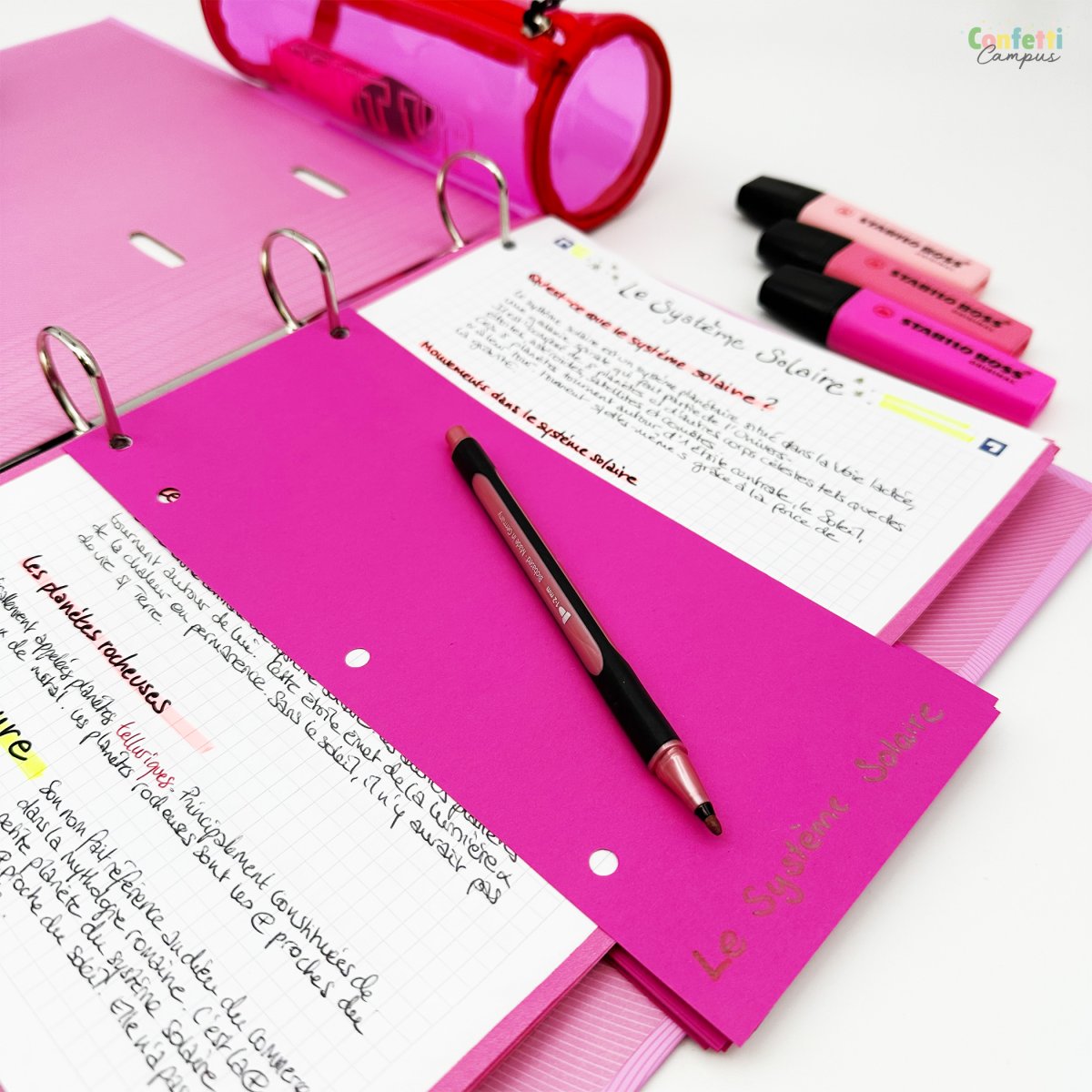 OXFORD DUO 60 Bandes intercalaires à double sens 24×10,5cm Rose – Image 3