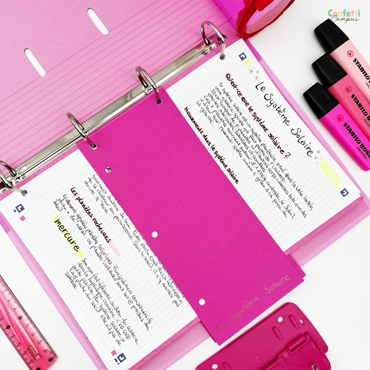 OXFORD DUO 60 Bandes intercalaires à double sens 24×10,5cm Rose – Image 4