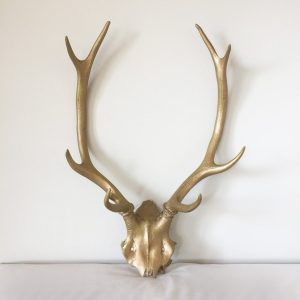 Cornes de cerf – or