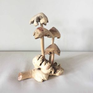 Groupe champignons bois