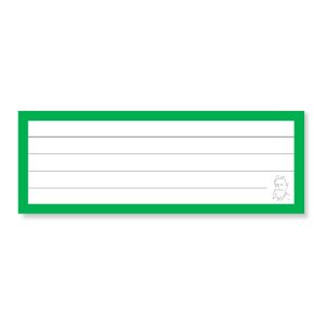 50 Flashcards Leitner Vocabulaire lignées cadre vert