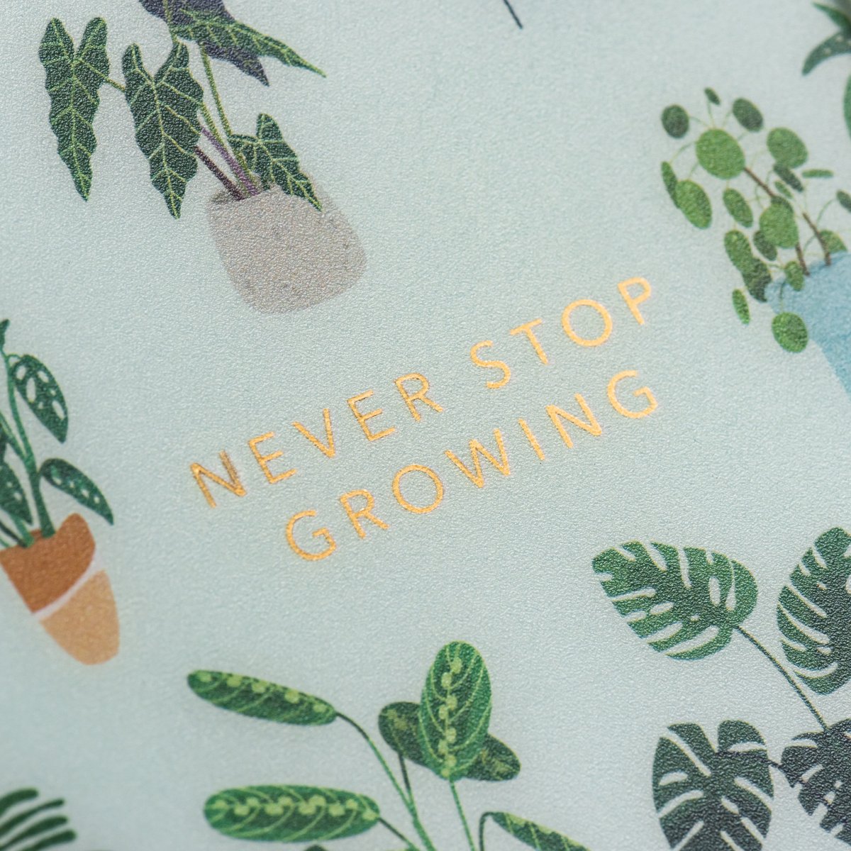 BRUNNEN Agenda scolaire journalier A5 2025-2026 Petites plantes – Image 6